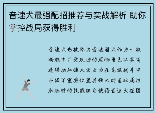音速犬最强配招推荐与实战解析 助你掌控战局获得胜利